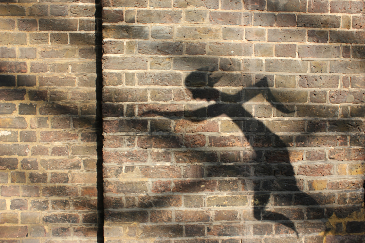 the shadow of a dancer is cast on a brick wall